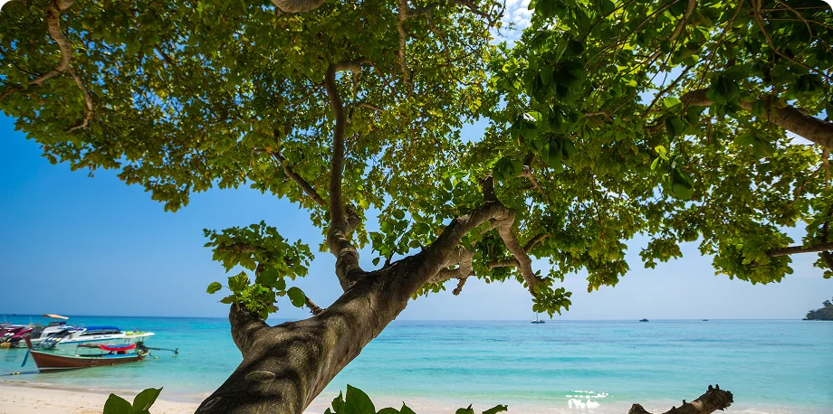 Rosewood Baha Mar Bahamas